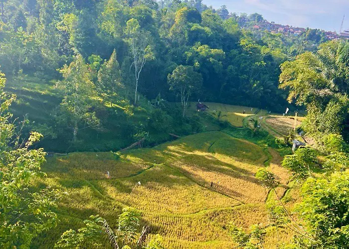 Joglo River Pure Nature * Pujungan