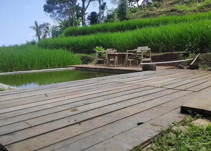 Joglo River Pure Nature Pujungan