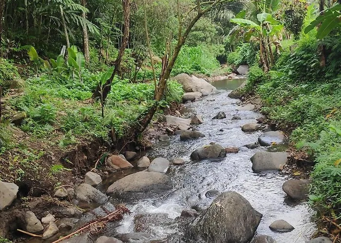 Joglo River Pure Nature Pujungan